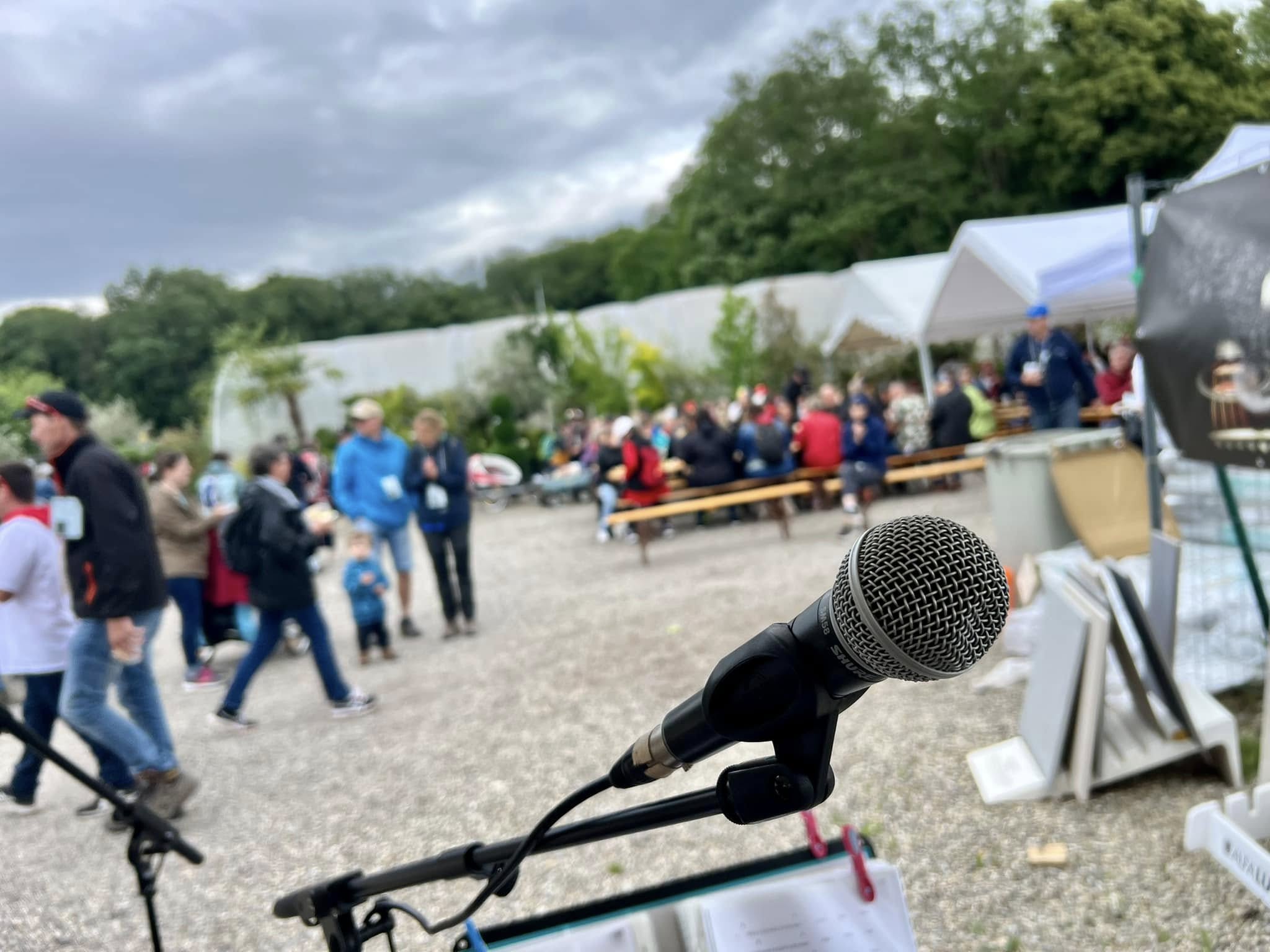 Eden Seedz en performance acoustique — musiciens sur scène au festival