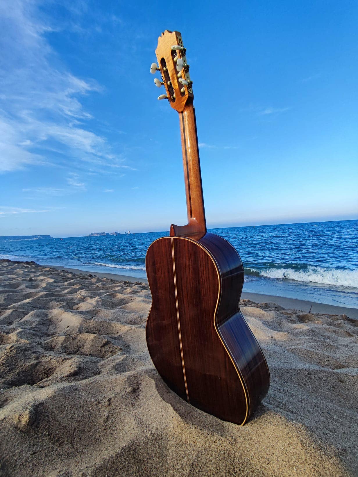 Concert Eden Seedz - Groupe live musique pop folk indie